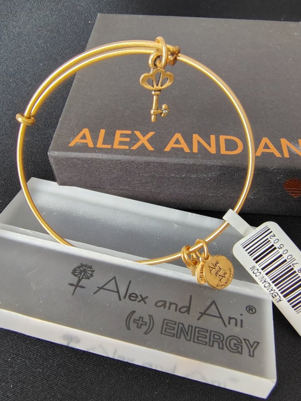 New  Alex and Ani Skeleton Key 821